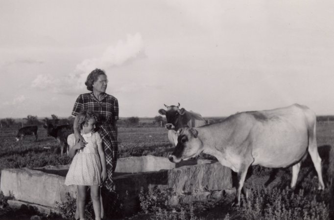 Nanny, Reba and the milk cows