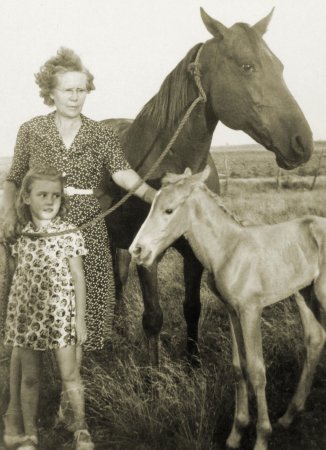 Reba, Nanny, Sugar and colt