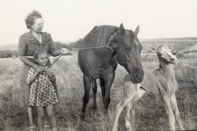 Reba, Nanny, Sugar and colt